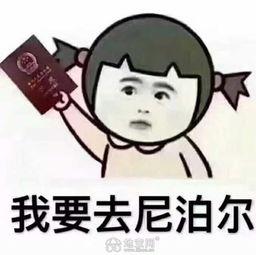 搞笑天堂,搞笑天堂里的欢乐盛宴