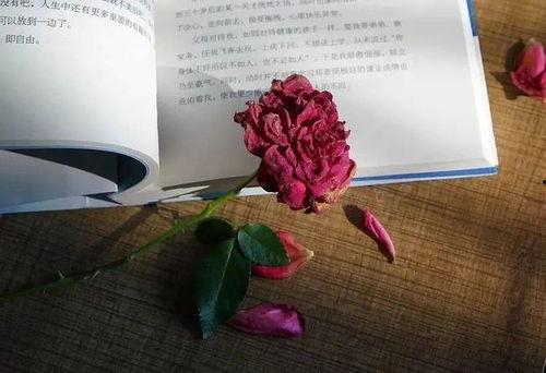 时间证明一切图片,图片中的历史变迁